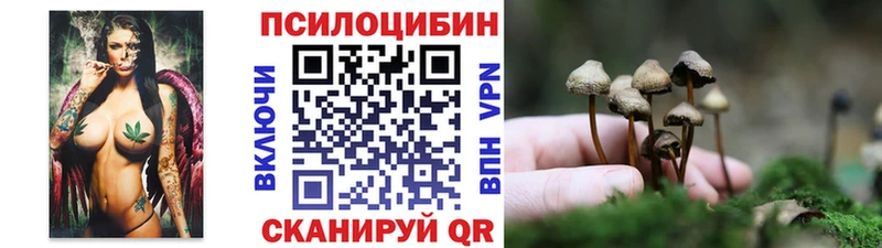 Галлюциногенные грибы мухоморы  Западная Двина 