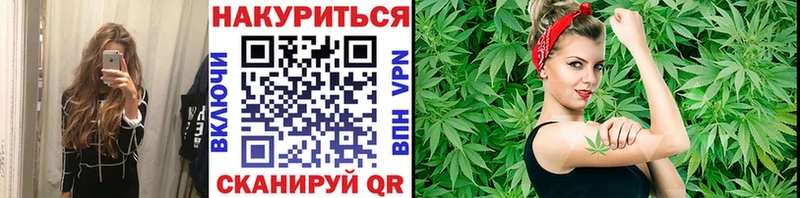 как найти наркотики  Западная Двина  Бошки марихуана THC 21% 